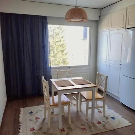 Viihtyisae Kerrostalo Yksioe Hissitalossa Apartment