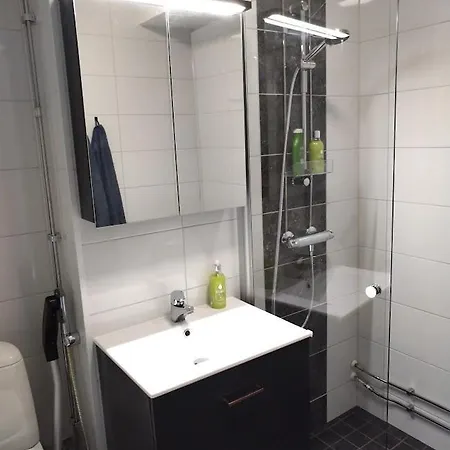 Appartement Viihtyisae Kerrostalo Yksioe Hissitalossa *