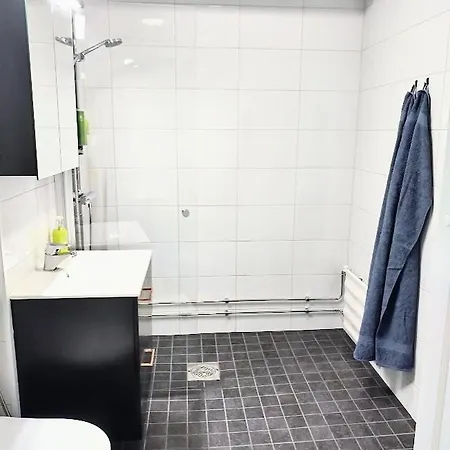 Appartement Viihtyisae Kerrostalo Yksioe Hissitalossa