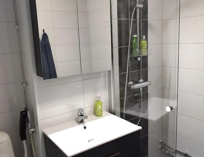 Appartement Viihtyisae Kerrostalo Yksioe Hissitalossa *